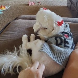 Meet your Posher, Posh